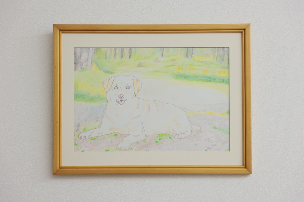 ラブラドール・レトリバー