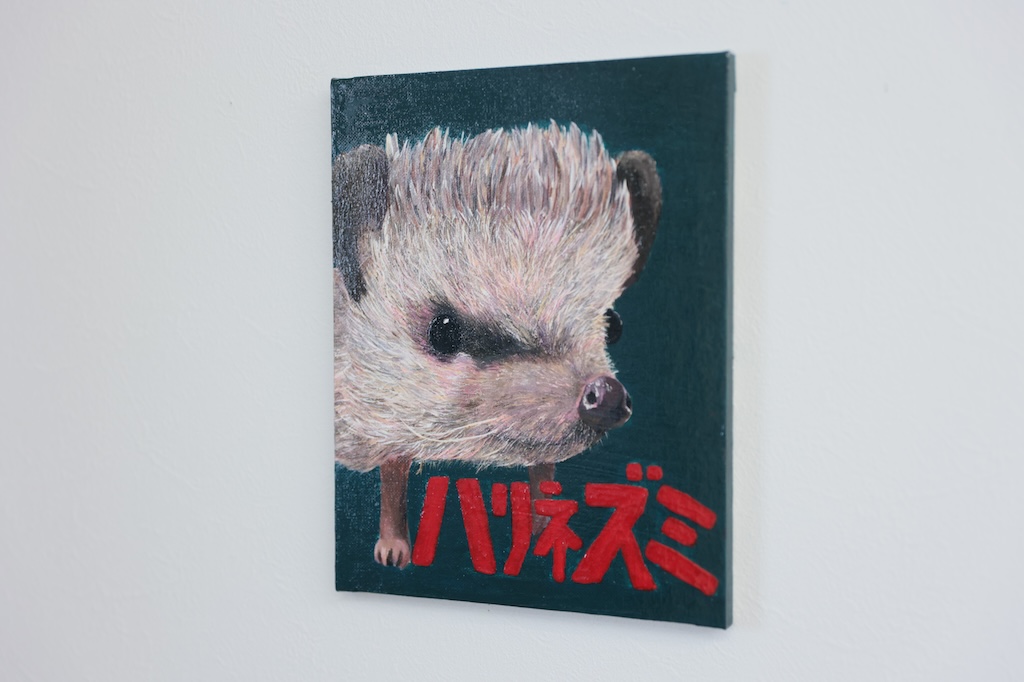 ハリネズミ - 画像 (2)