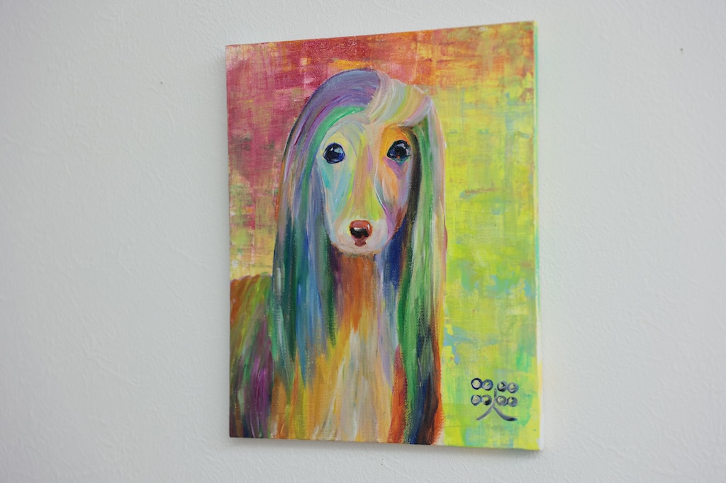 アフガンハウンド - 画像 (2)