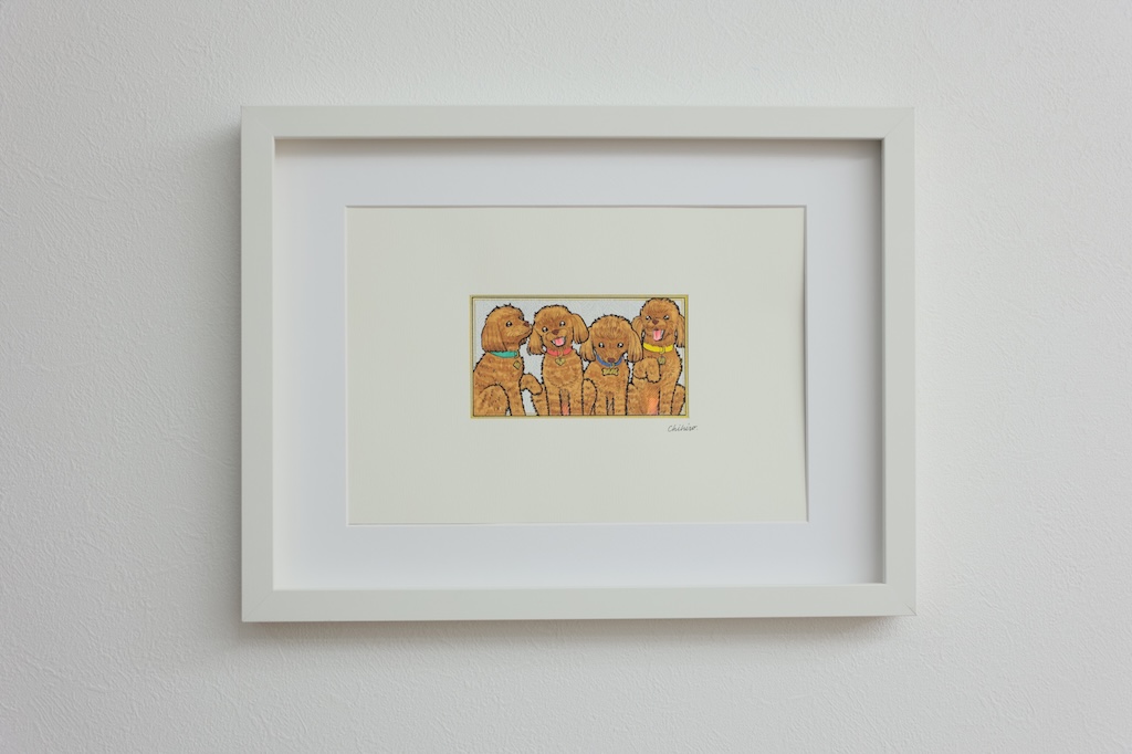 4匹のトイプードル