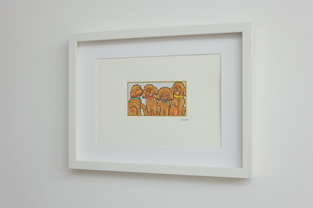 4匹のトイプードル - 画像 (2)