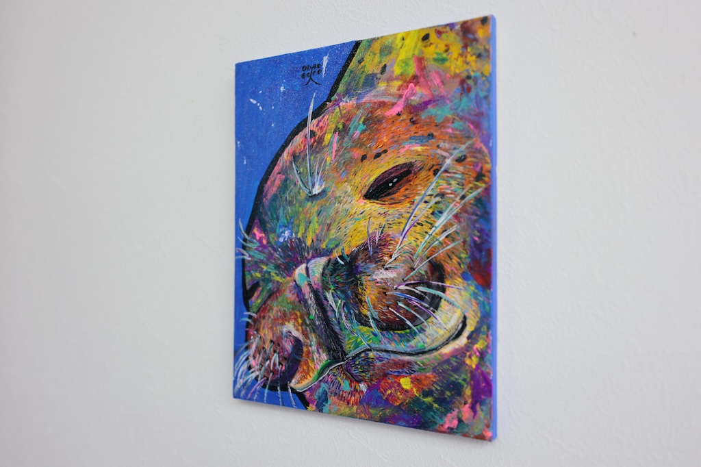 泳ぐアザラシ - 画像 (2)