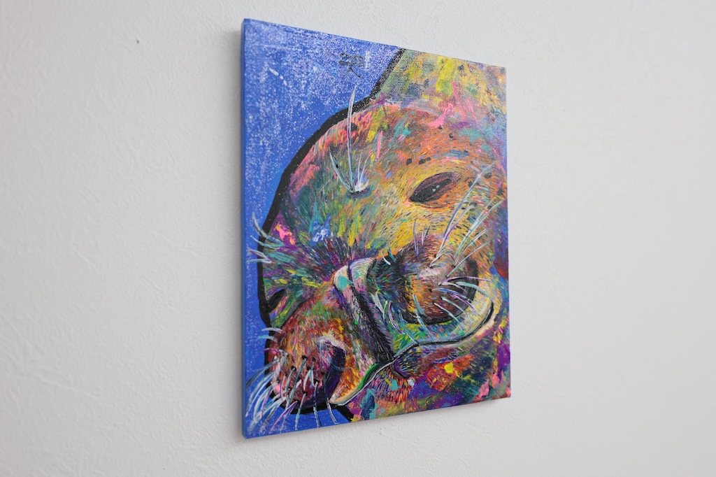 泳ぐアザラシ - 画像 (3)