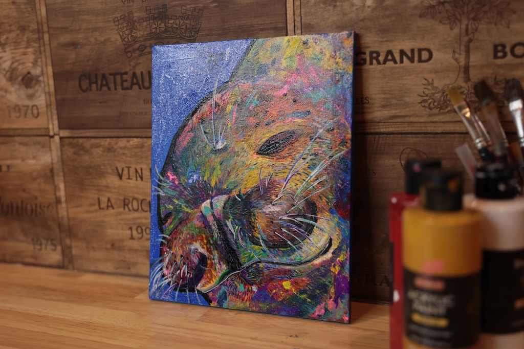 泳ぐアザラシ - 画像 (4)