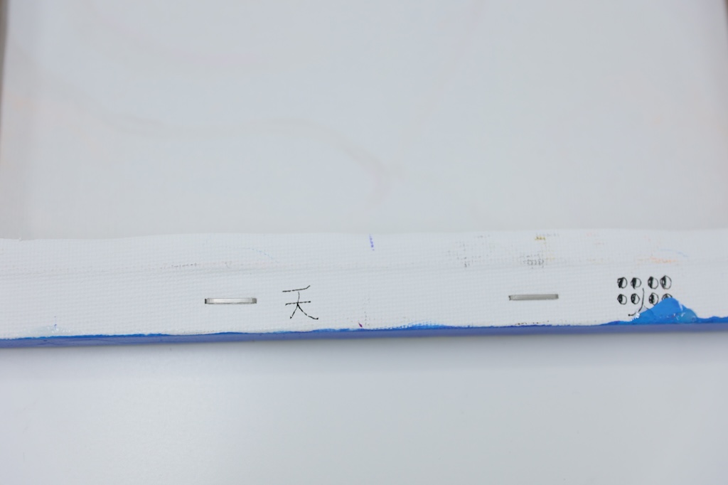 泳ぐアザラシ - 画像 (5)