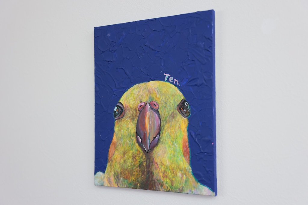 オカメインコ - 画像 (2)