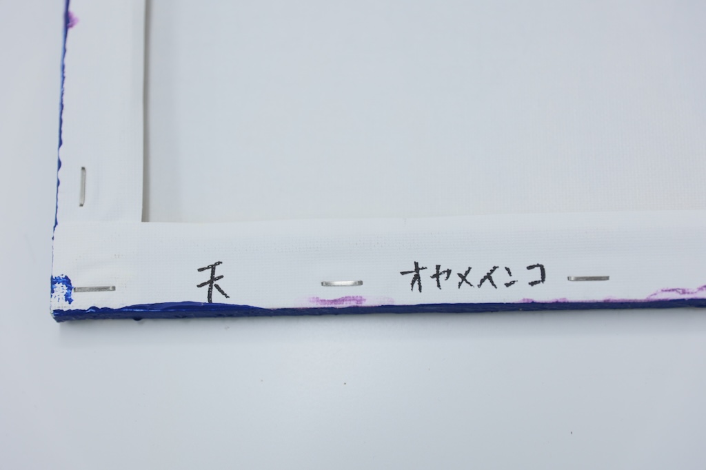 オカメインコ - 画像 (6)